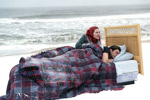 Eternal Sunshine of the Spotless Mind: Flawless