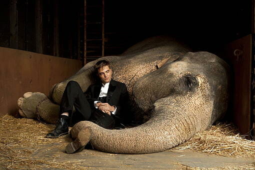 Water for Elephants: Mediocrity for Us