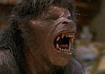 An American Werewolf in London (1981)