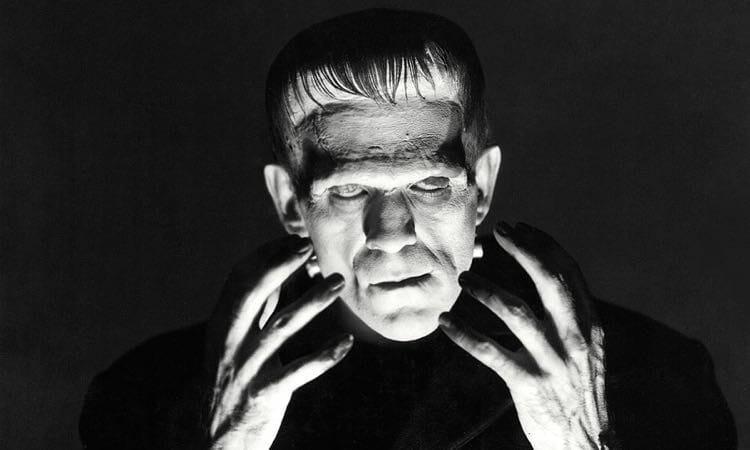 Frankenstein: Of Monsters and Humans