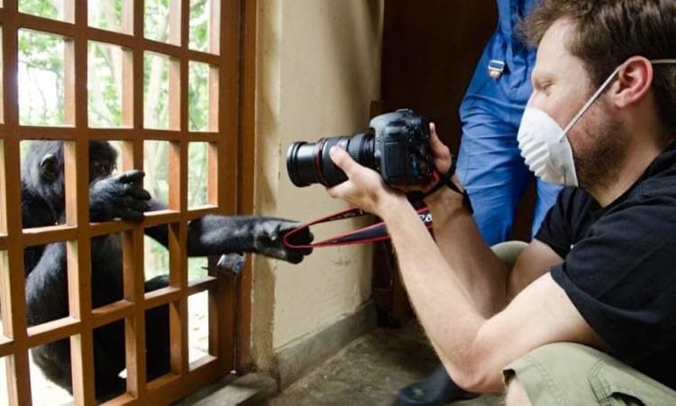 Leonardo DiCaprio Produced Documentary ‘Virunga’ Set for Netflix Release