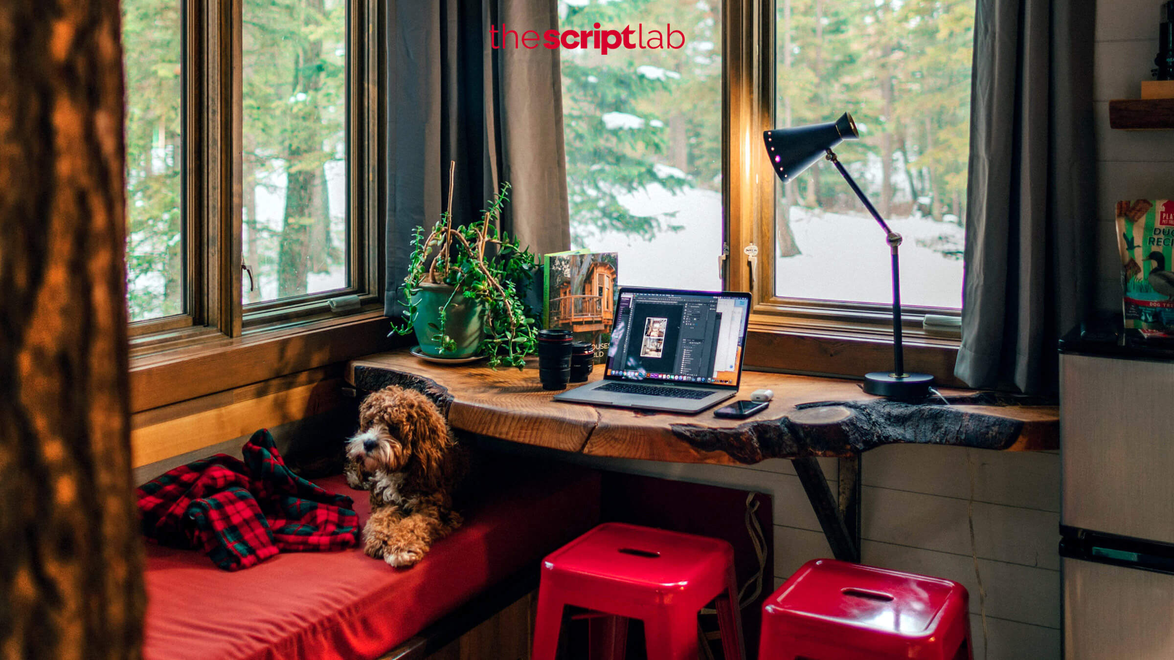 5 of the Best Writer’s Cabins on Airbnb