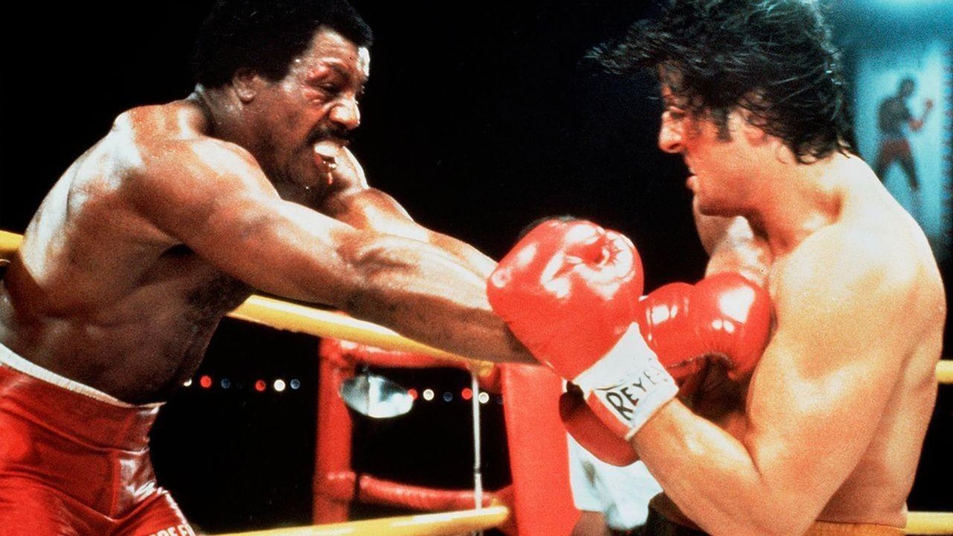 Rocky II - The Script Lab