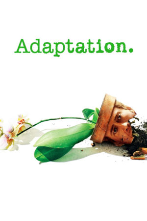 Adaptation Scripts