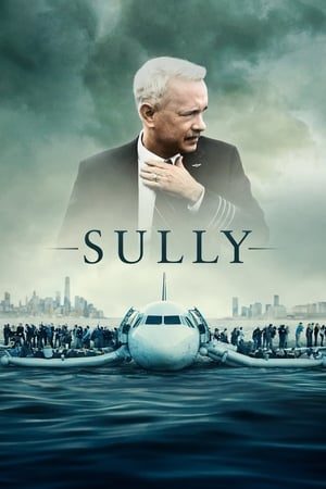 Sully Scripts